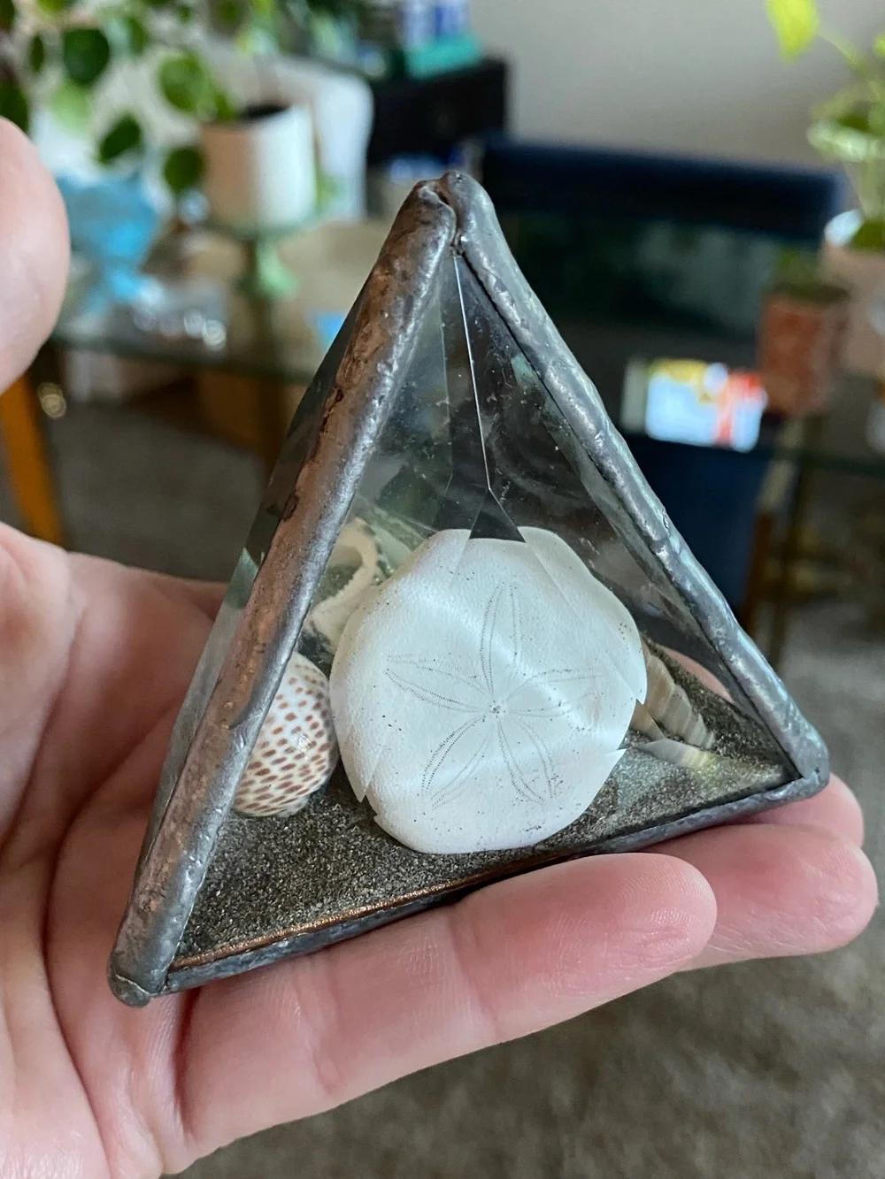 VTG Beveled Glass Pyramid Paperweight Shell Sand Dollar Sandscape 3”